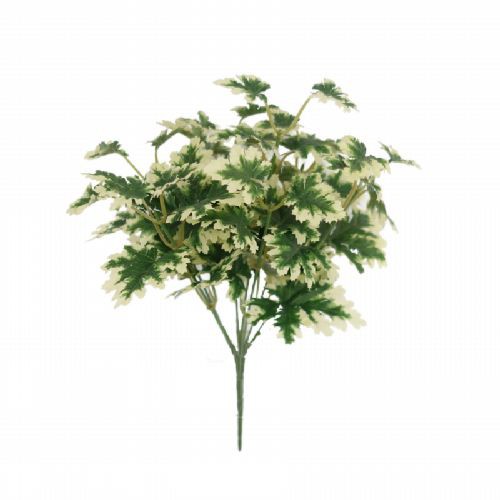 Man-made ROSE GERANIUM BUSH001 Man-made ROSE GERANIUM BUSH001