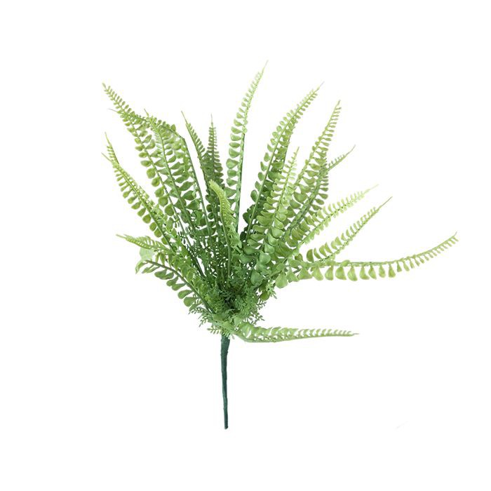 Real Looking Fern