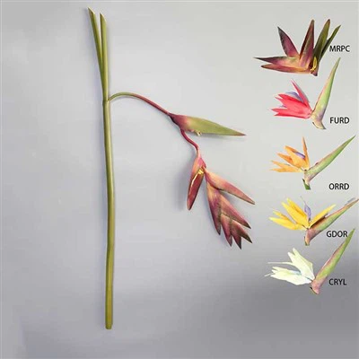 Természetes tapintású trópusi virág